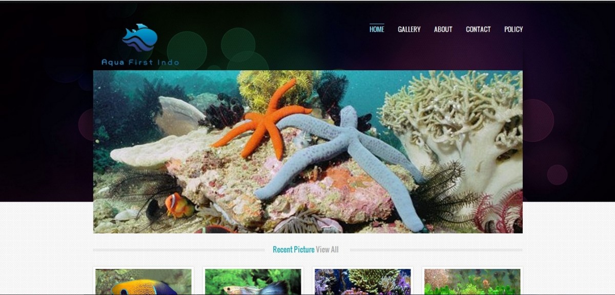 Aquafirstindo.com